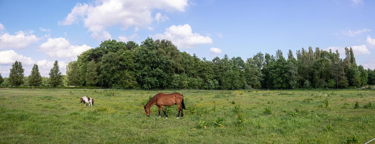 De Lammersdamhoeve Wingene Экстерьер фото